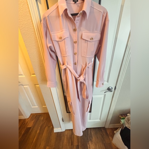 Express Blush Pink Belted Jumpsuit - Picture 2 of 4